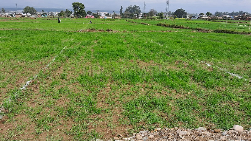 ₹25.50 Cr | 150 gaj agriculture land for sale in nayagaon shimla bypass road dehradun