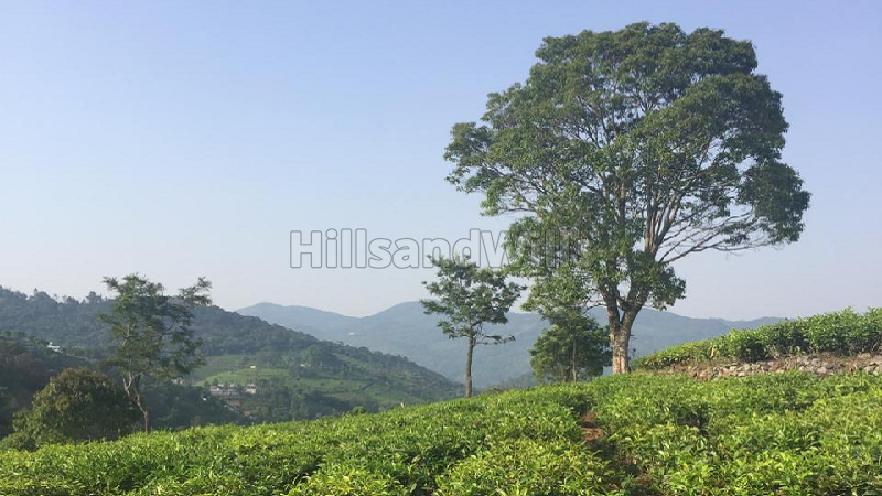 ₹75 Lac | 30 cents Residential Plot For Sale in Kotagiri