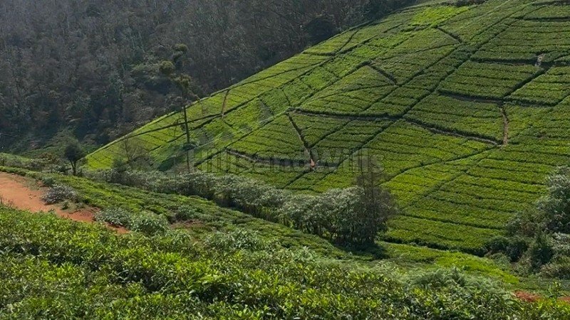 ₹66 Lac | 22 cents agriculture land for sale  in kattabettu kotagiri