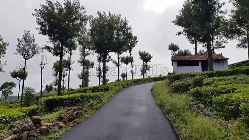 ₹3.25 Cr | 69 cents tea estate for sale  in konavakarai kotagiri