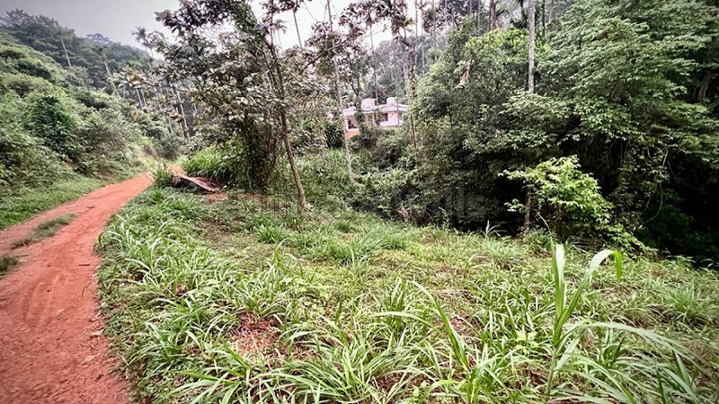₹13 Lac | 1 acres residential plot for sale in valad wayanad
