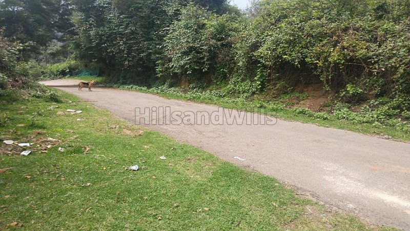 ₹1 Cr | 45 cents residential plot for sale  in vilpatti kodaikanal