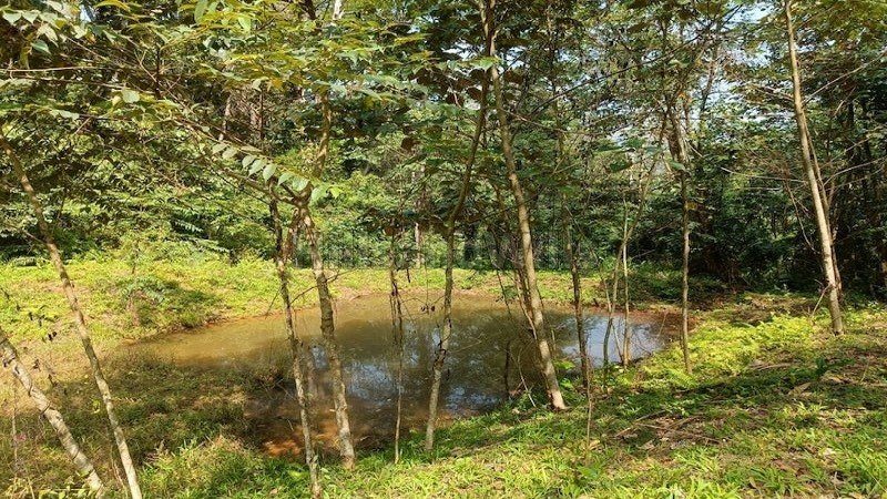 ₹4.40 Cr | 14.5 acres coffee estate with bungalow for sale  in madikeri coorg