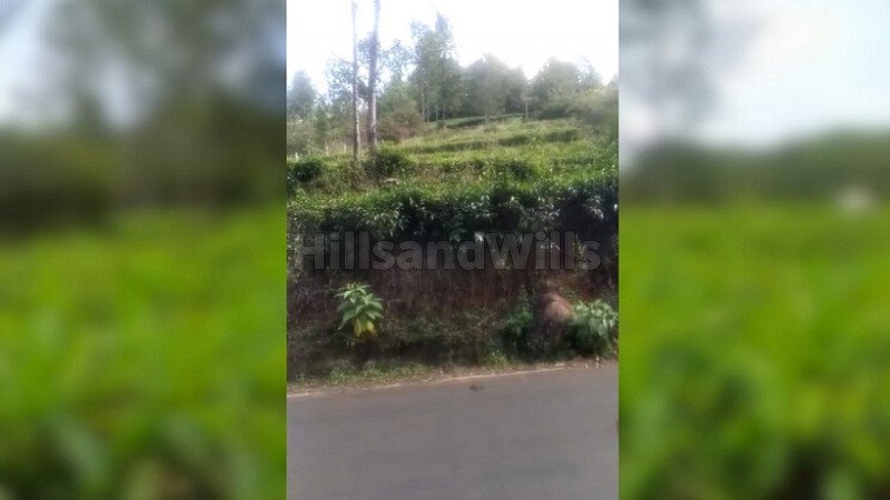 ₹45 Lac | 25 cents residential plot for sale  in kotagiri ooty