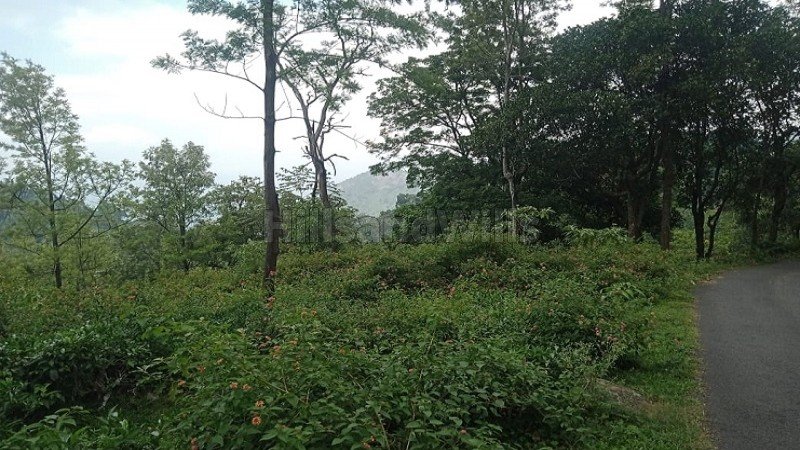 ₹78.75 Cr | 525 acres tea & coffee estate with sandal wood trees for sale  in kotagiri