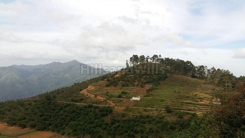 ₹1.19 Cr | 10900 sq.ft.  palani temple view gated community residential plot for sale  in vilpatti kodaikanal