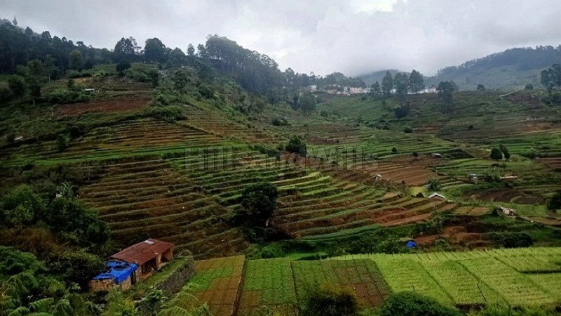 ₹69 Lac | 23 cents  gated community residential plots for sale  in vilpatti kodaikanal