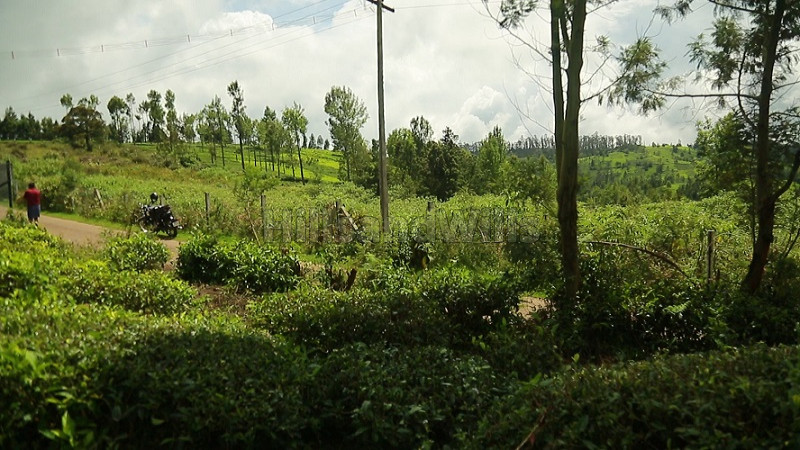 ₹28 Lac | 17 cents residential plot for sale in near katteri water falls ooty