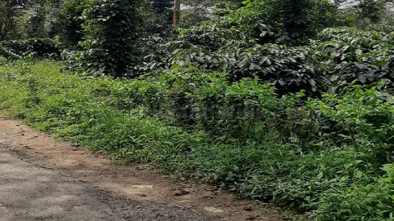 ₹12.50 Cr | 5.5 acres commercial land  for sale in virajpet coorg