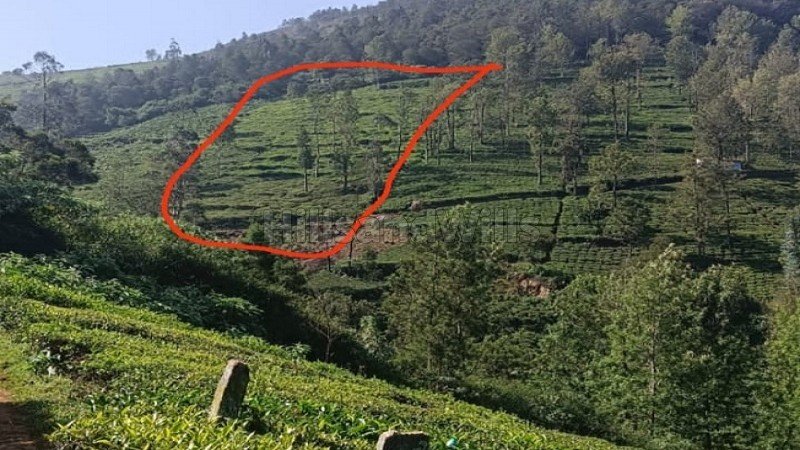 ₹1.60 Cr | 1 acres tea estate for sale  in kettikambai kotagiri