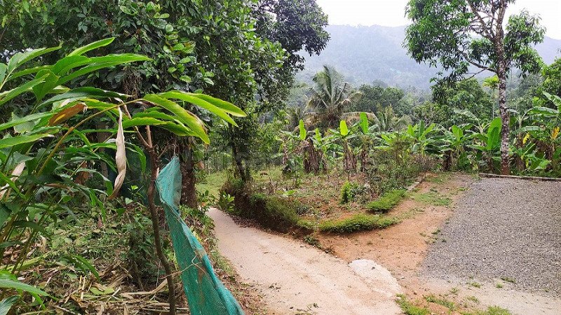 ₹35 Lac | 70 cents residential plot for sale  in calvary mount idukki