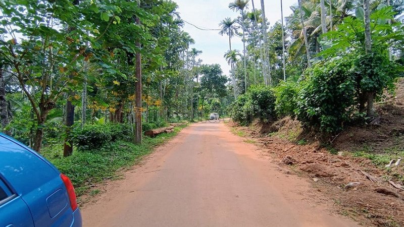 ₹30.23 Lac | 155 cents residential plot for sale  in pulpally wayanad