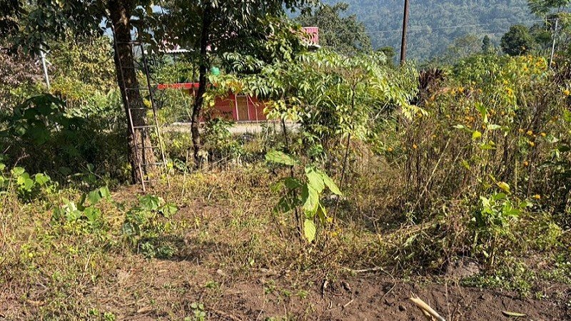 ₹90 Lac&nbsp;|&nbsp;20 decimal residential plot for sale  in mirik bunkulung near darjeeling