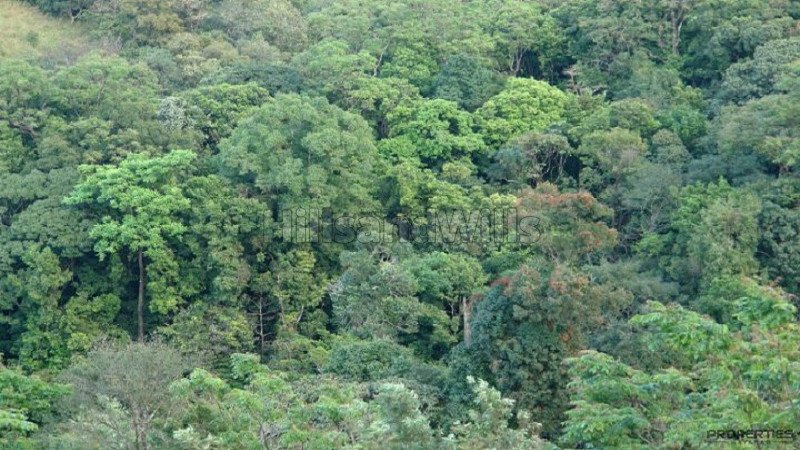 ₹10 Lac | 20 cents residential plot for sale  in korome wayanad