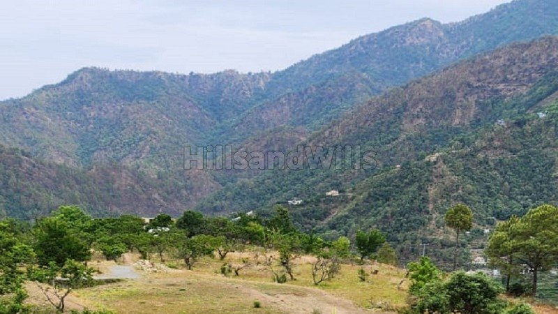 ₹25 Lac | 75 nali commerical land for sale  in talla ramgarh near nainital