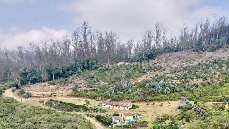 ₹9 Cr | 2 acres residential plot for sale in havelock road ooty