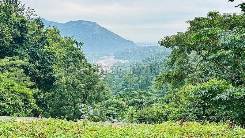 ₹1.79 Cr | 4197 sq.ft.  river view residential plot for sale  in sahastradhara road dehradun