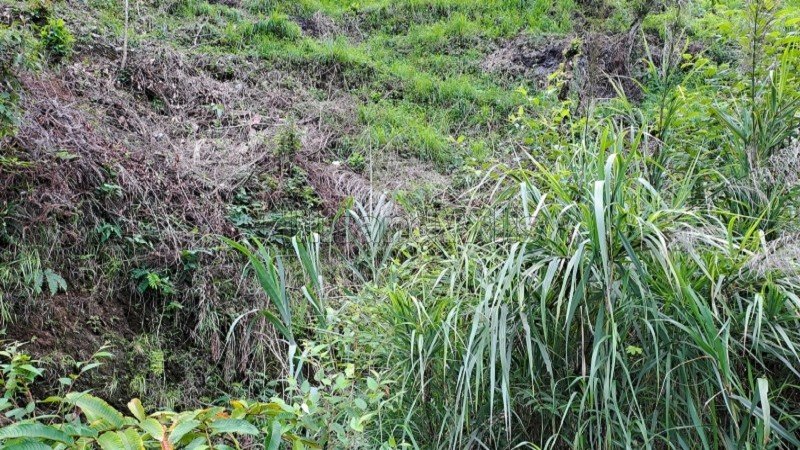 ₹25 Lac | 3000 sq.ft. residential plot for sale in gangtok sikkim