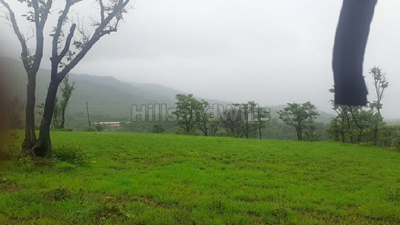 ₹5 Cr | 18 acres agriculture land for sale in tapola mahabaleshwar