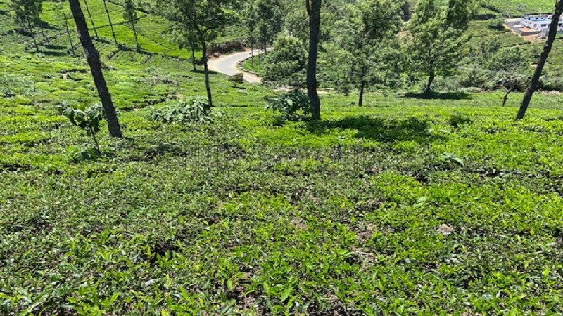 ₹10 Cr | 2.07 acres agriculture land for sale  in kettikombai road kotagiri