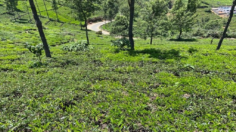 ₹10 Cr | 2.07 acres agriculture land for sale in kettikombai road kotagiri