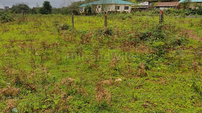 ₹2.50 Cr | 34 guntha agriculture land for sale  in satara mahabaleshwar