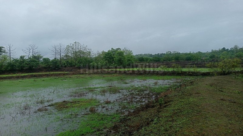 ₹55 Lac | 43560 sq.ft. agriculture land for sale in kikavi karjat