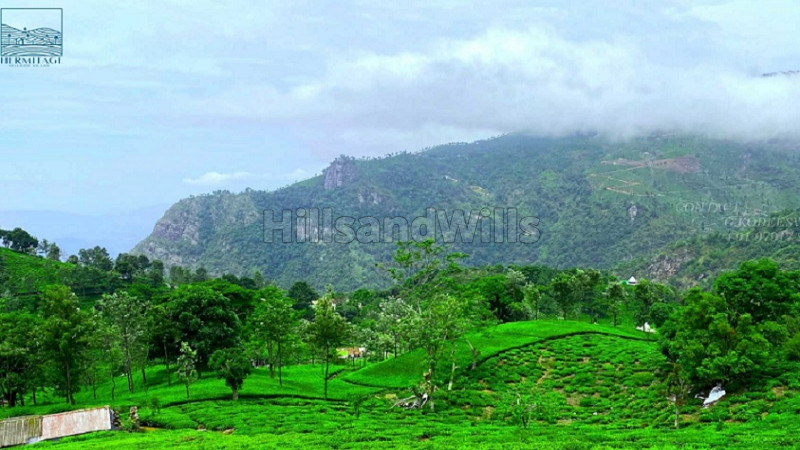 ₹42 Lac | 21 cents Residential Plot For Sale in Kotagiri