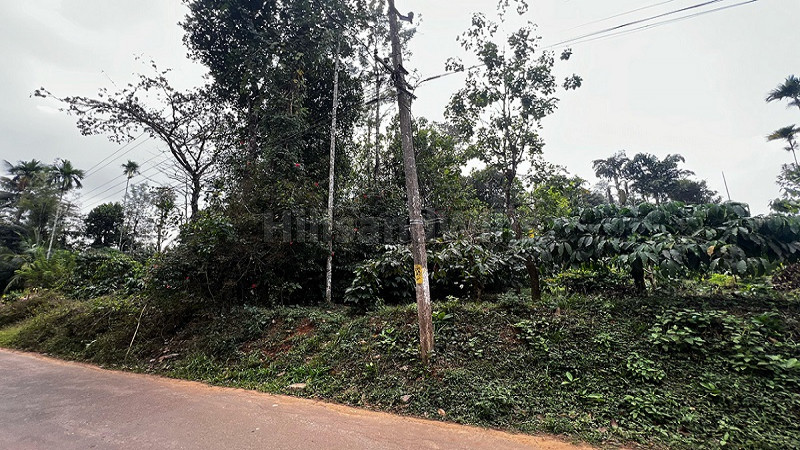 ₹25.02 Lac | 18 cents residential plot for sale in bathery wayanad
