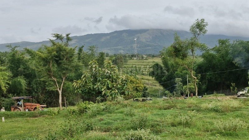 ₹42 Lac - 55 Lac | 9150 sq.ft. - 12000 sq.ft.  gated community residential plots for sale  in aravenu kotagiri