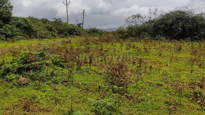 ₹2.50 Cr | 34 guntha agriculture land for sale  in satara mahabaleshwar