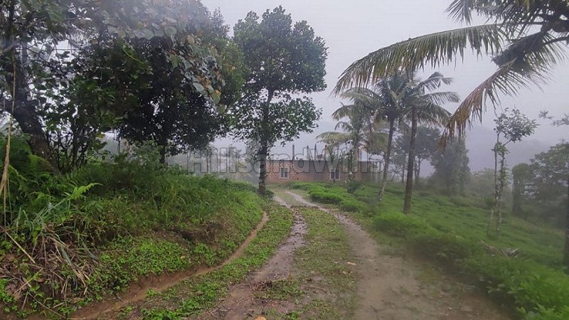 ₹5.60 Cr | 7 acres agriculture land for sale  in mananthavady wayanad