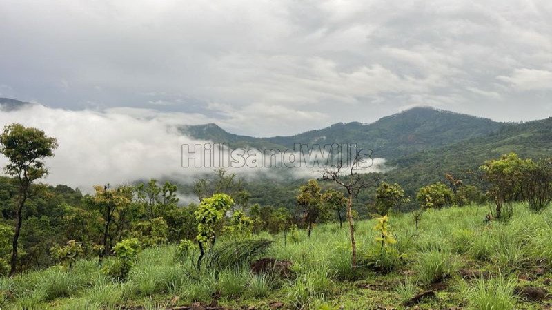 ₹33 Lac | 12 cents agriculture land for sale  in perummalmalai kodaikanal