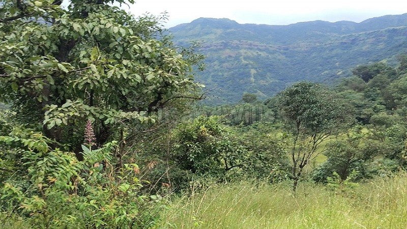 ₹20 Lac | 66 guntha dam view land for sale near tapola & mahabaleshwar