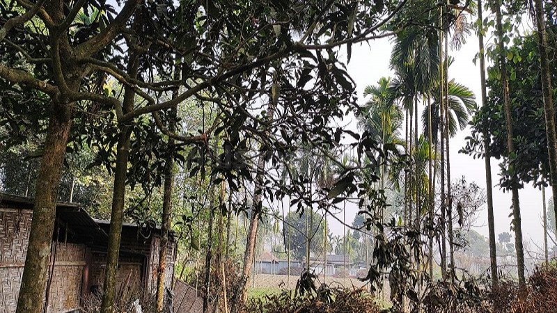 ₹9 Lac | 6 kattha residential plot for sale  in fatapukur siliguri