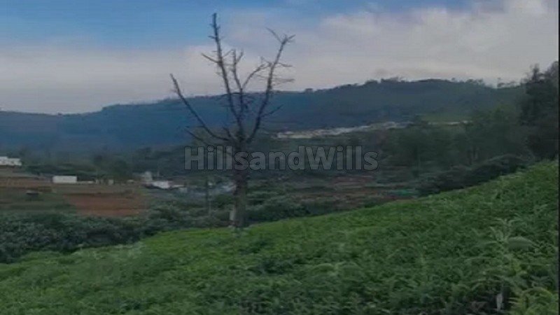 ₹46.80 Lac | 26 cents residential plot for sale in sundatty kotagiri