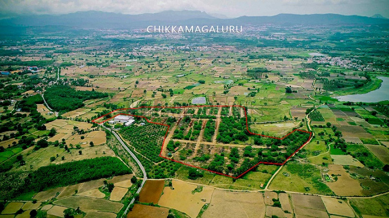 ₹16.80 Lac | 1200 sq.ft. residential plot for sale in amble chikmagalur