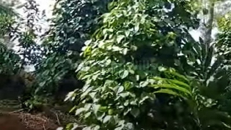 ₹1.36 Cr | 1.35 acres agriculture land for sale  in bailnadu kolli hills