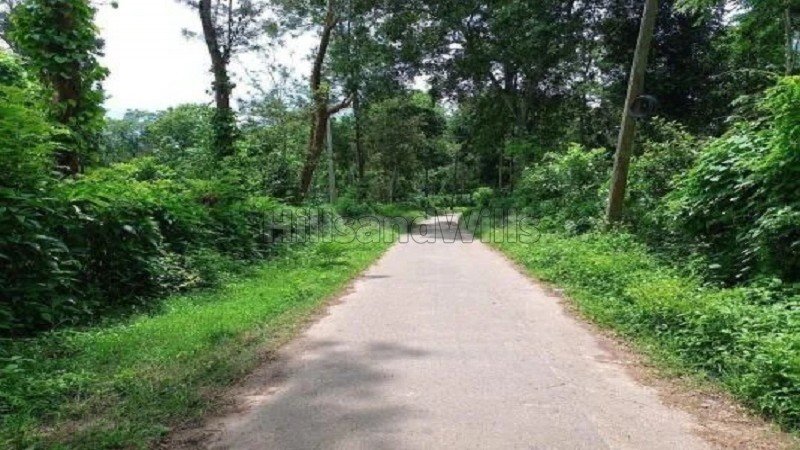 ₹4 Cr | 5 acres coffee estate for sale  near dubare elephant camp coorg