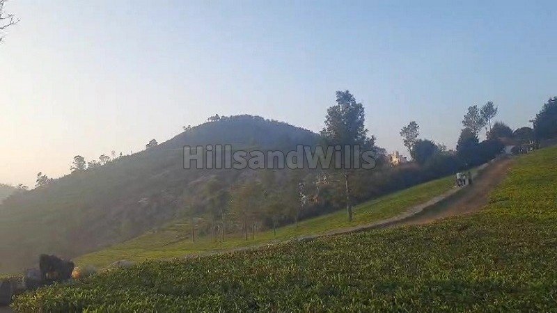 ₹4 Cr | 2 acres tea estate for sale in kotagiri