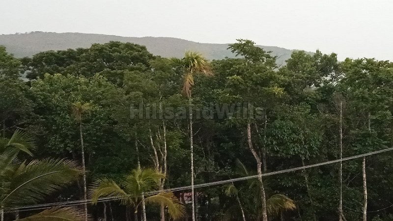 ₹1.18 Cr | 1.25 acres residential plot for sale  in mananthavady wayanad