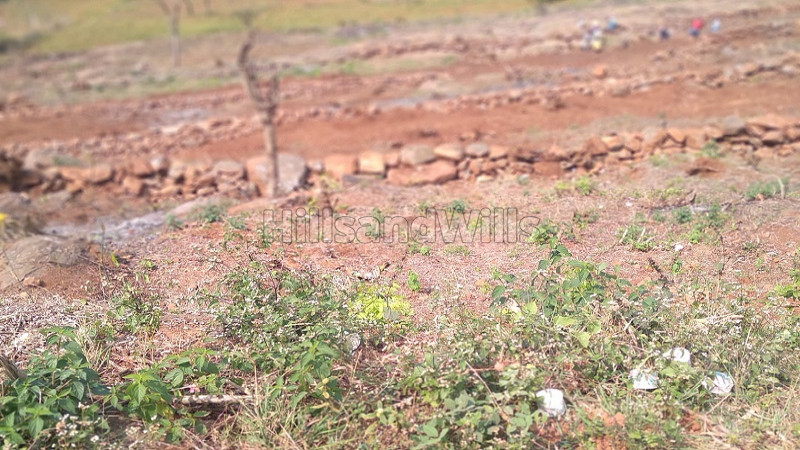 ₹60 Lac | 3 acres agriculture land for sale in perakkarai nadu kolli hills