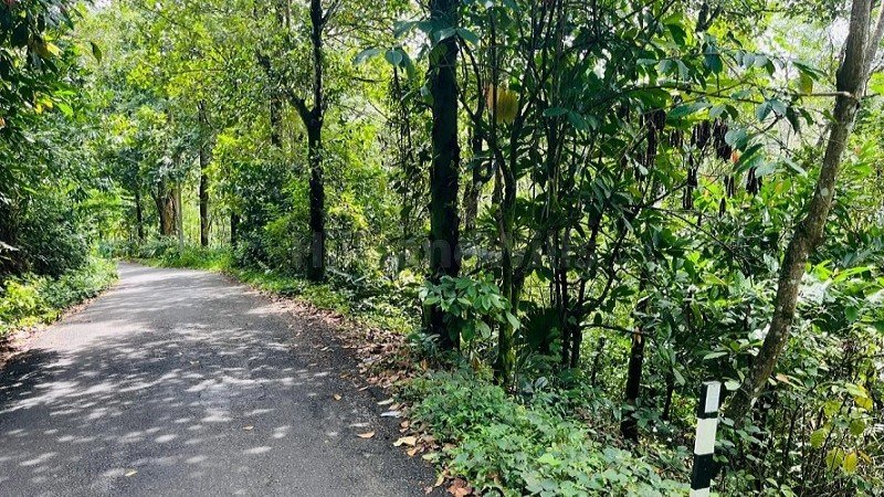 ₹52 Lac | 40 cents commerical land for sale  in anachal munnar