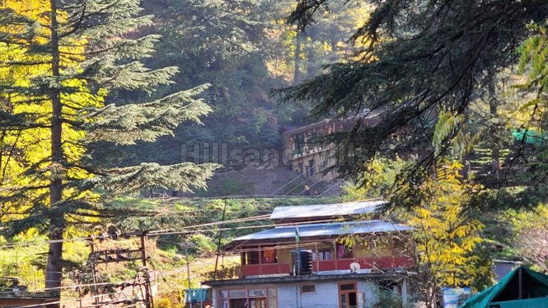 ₹2.50 Lac | 10 biswa residential plot for rent in naggar kullu-manali