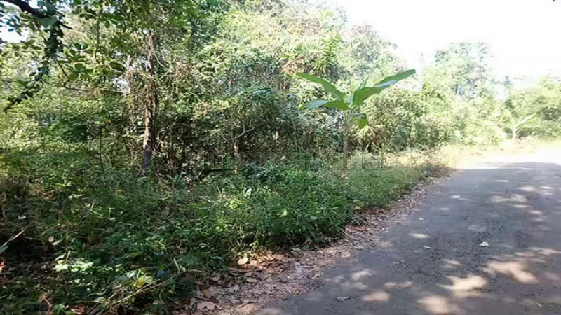 ₹80.64 Lac | 64 guntha agriculture land for sale in sindhudurga, sawantwadi maharashtra