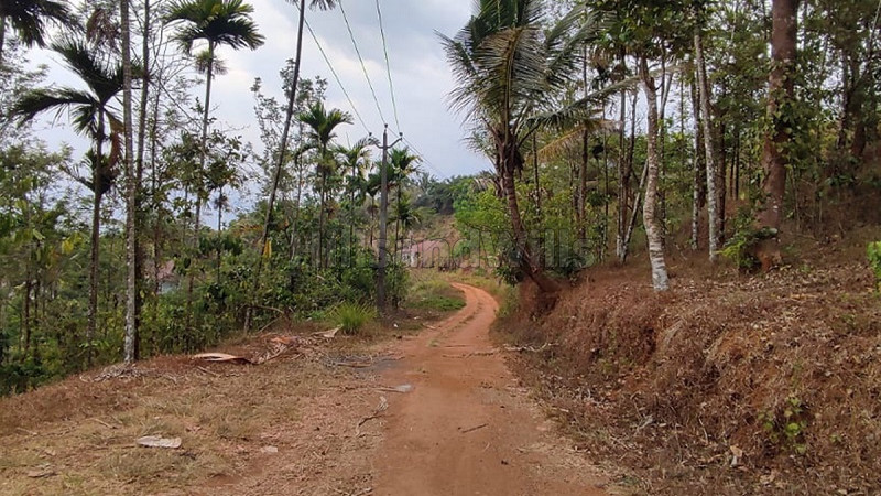 ₹1.99 Cr | 199 cents residential plot for sale in banasura dam wayanad