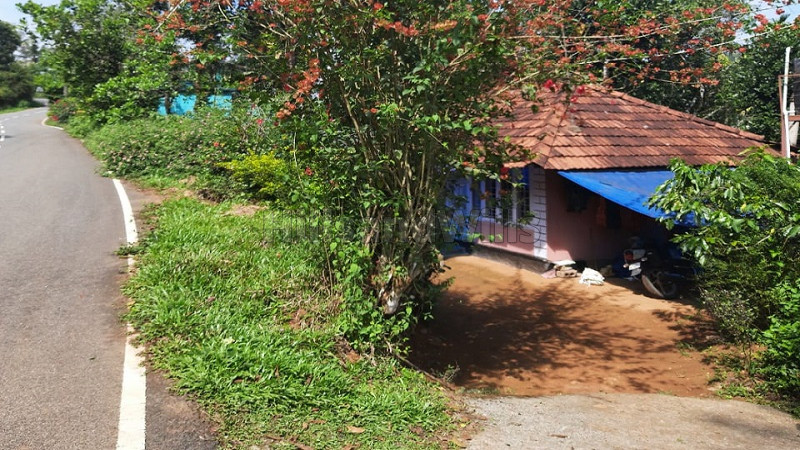 ₹60 Lac | 2 acres agriculture land for sale in mananthavady wayanad