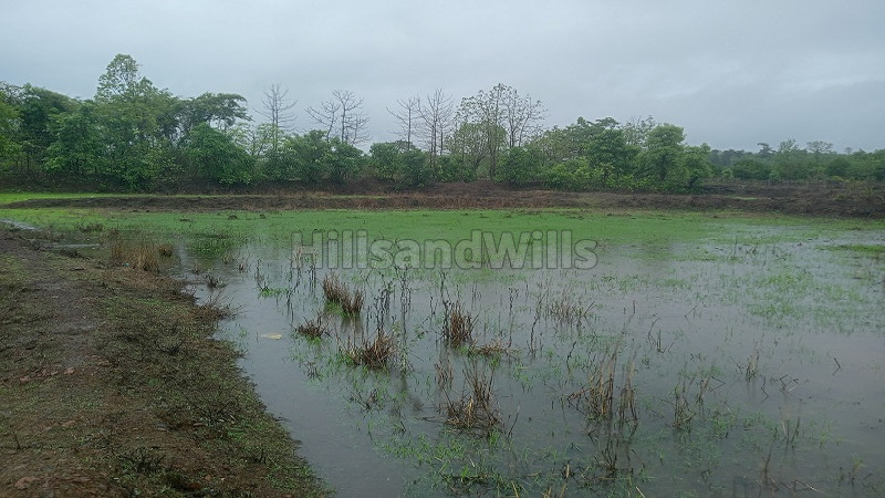 ₹55 Lac | 43560 sq.ft. agriculture land for sale in kikavi karjat