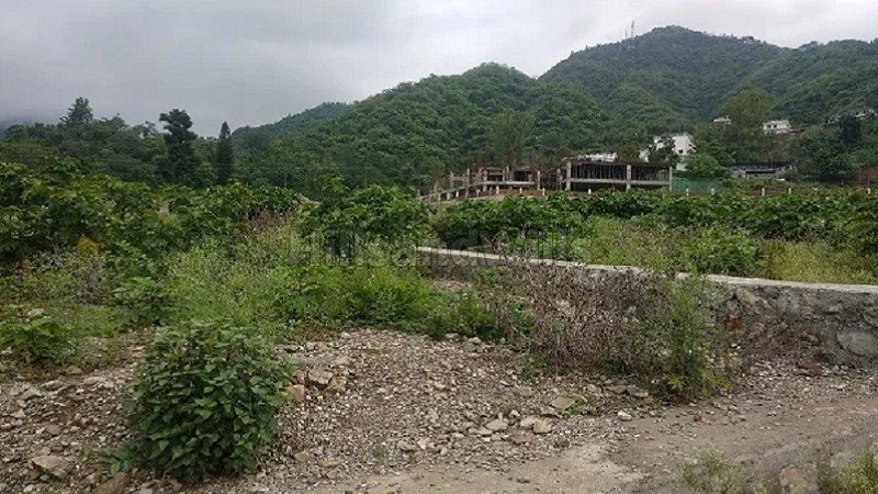 ₹1.36 Cr | 230 sq.yards residential plot for sale  between mussoorie and dehradun