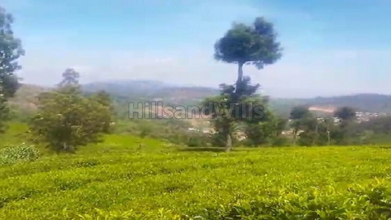 ₹97.50 Lac | 65 cents residential plot for sale in ooty